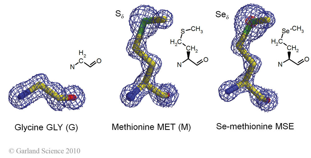 Biomolecular_Crystallography_Fig_2-21