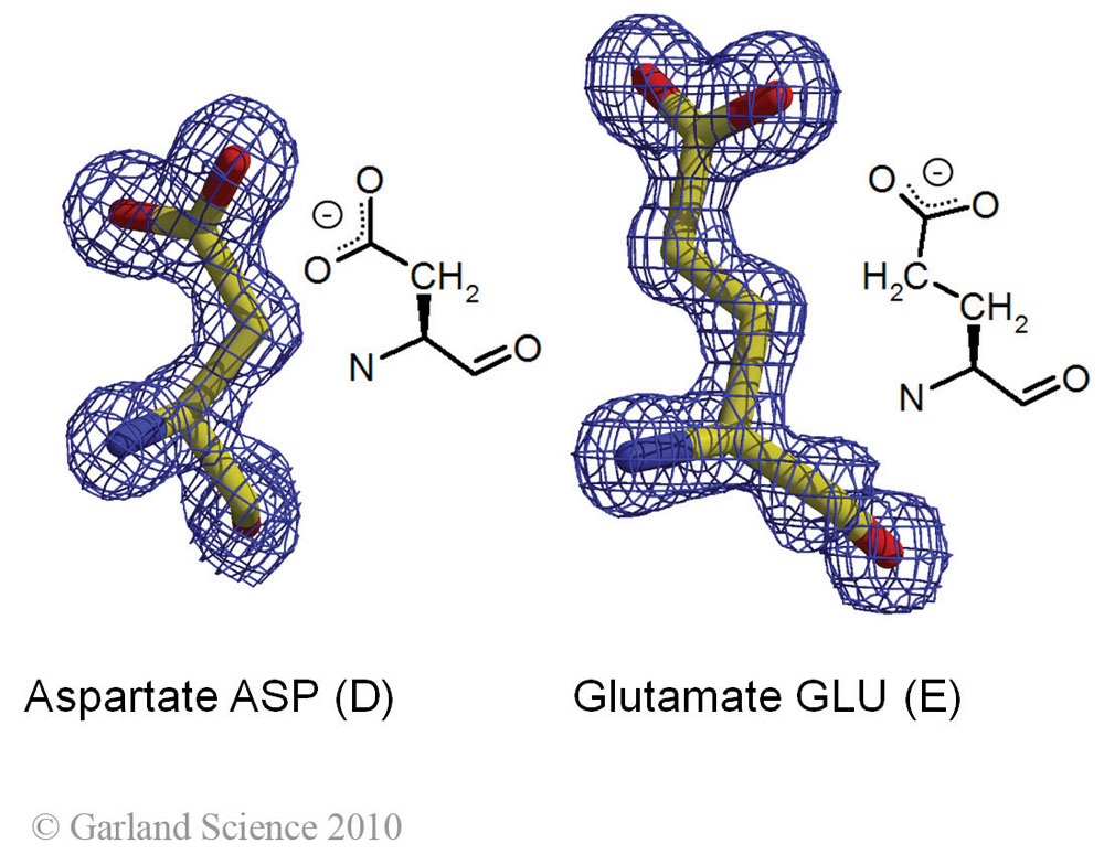 Biomolecular_Crystallography_Fig_2-22