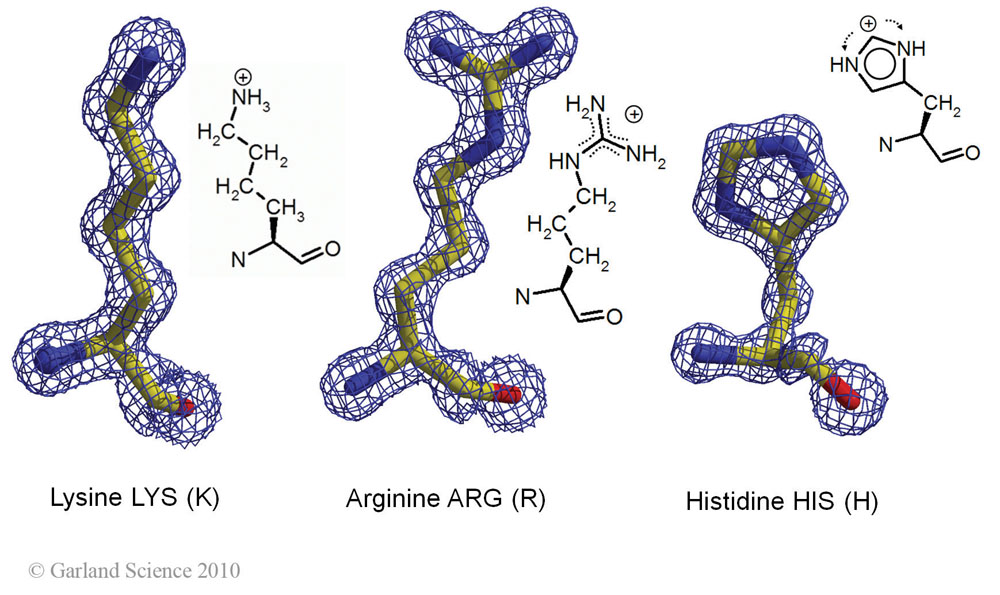 Biomolecular_Crystallography_Fig_2-23