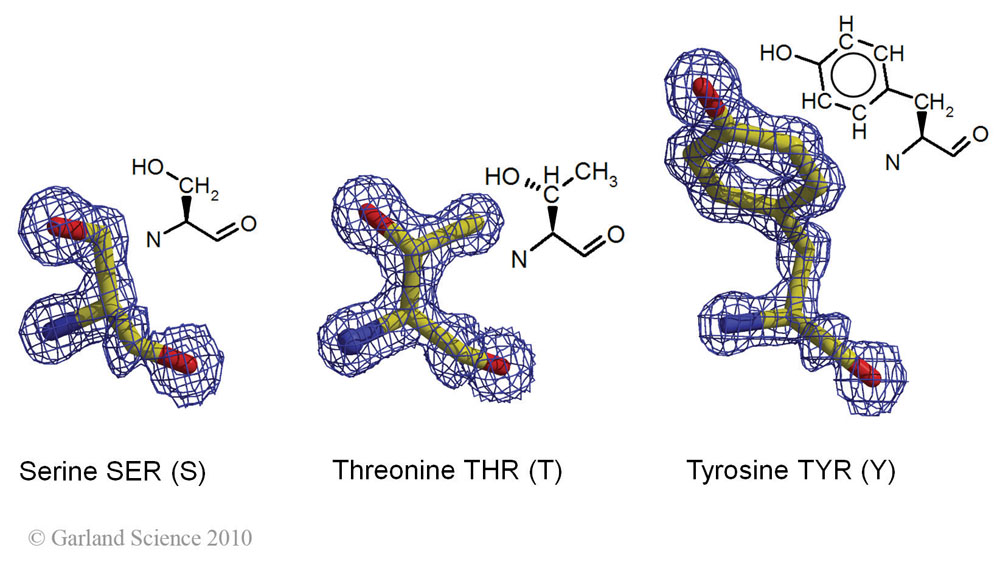 Biomolecular_Crystallography_Fig_2-24