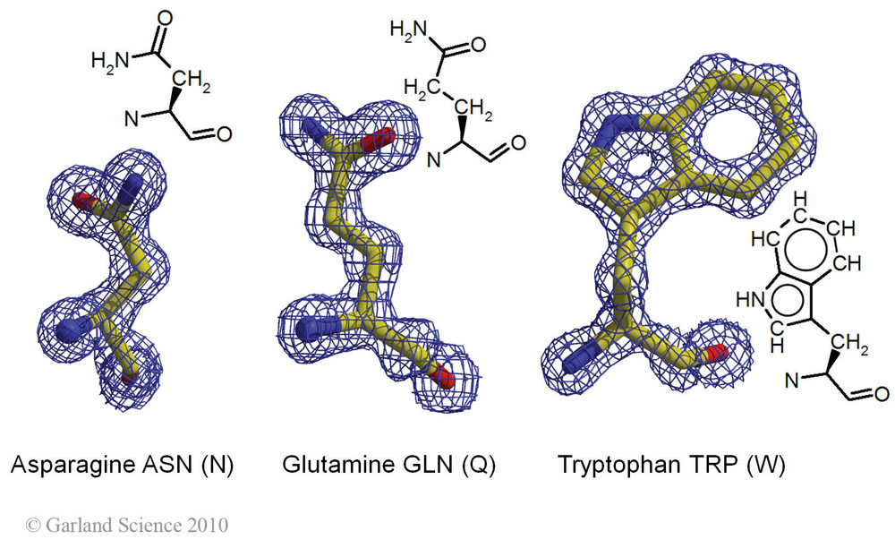 Biomolecular_Crystallography_Fig_2-25