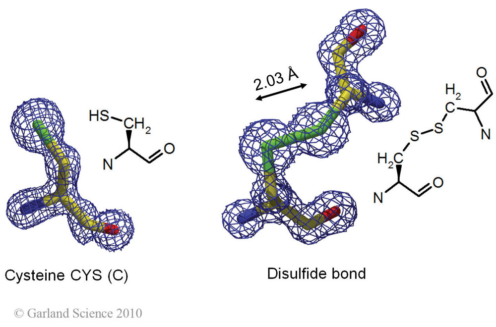 Biomolecular_Crystallography_Fig_2-26