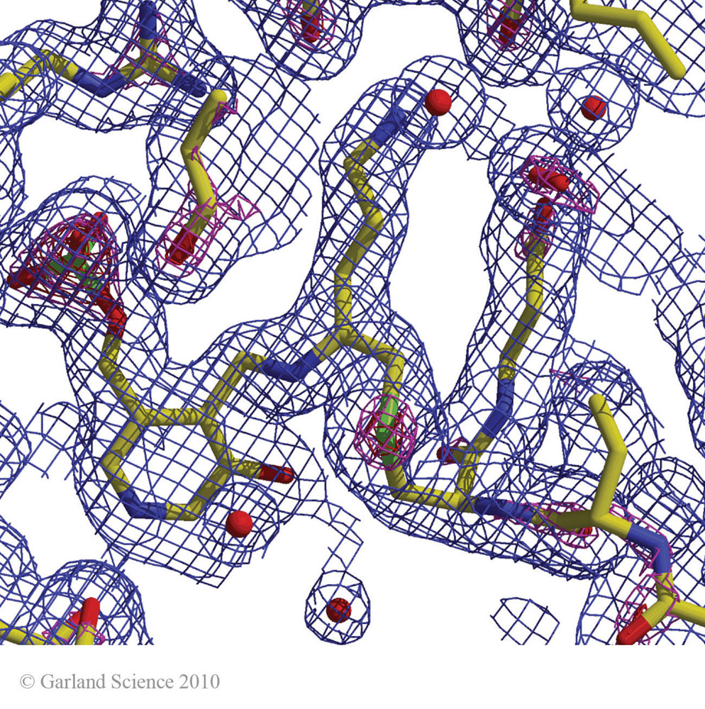 Biomolecular_Crystallography_Fig_2-30