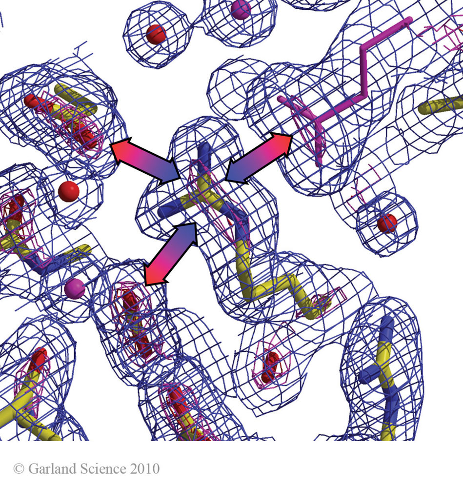 Biomolecular_Crystallography_Fig_2-31