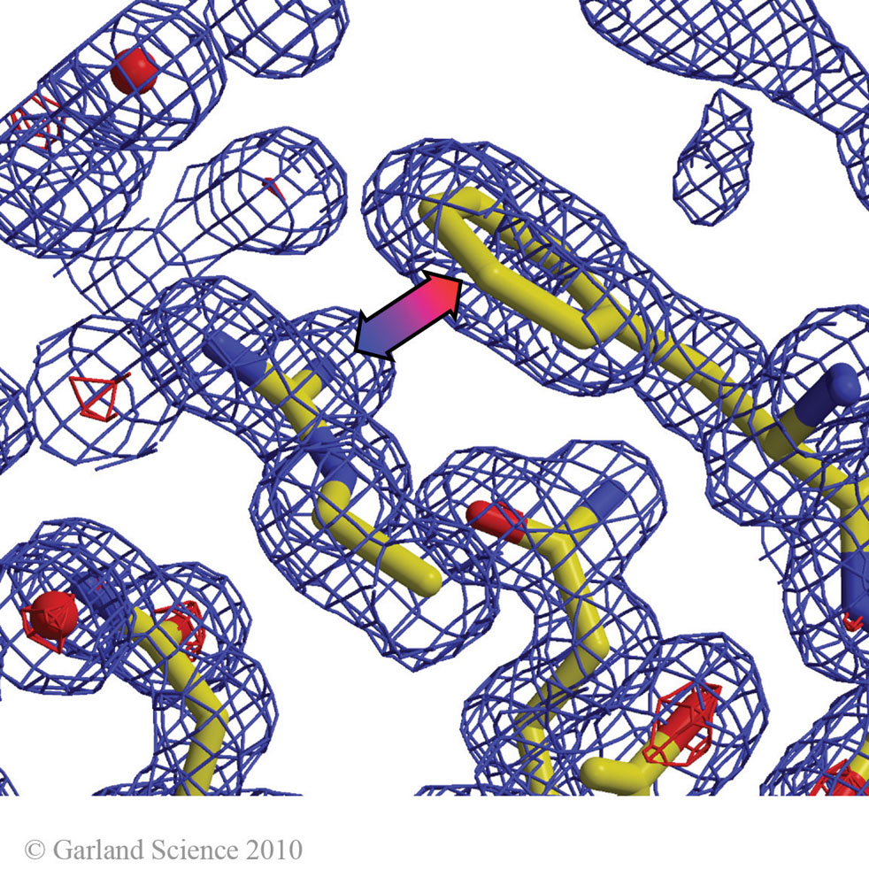 Biomolecular_Crystallography_Fig_2-32