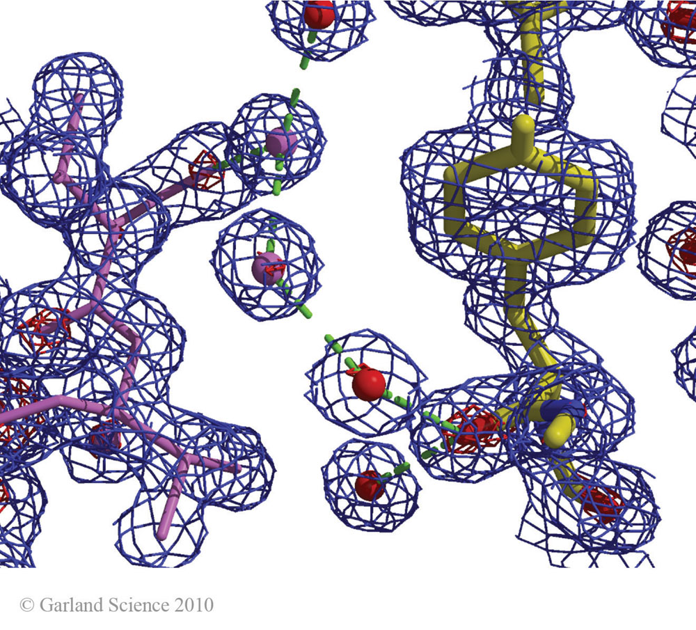 Biomolecular_Crystallography_Fig_2-33