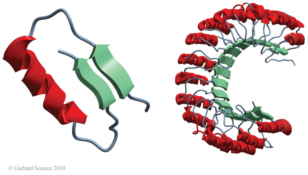 Biomolecular_Crystallography_Fig_2-35