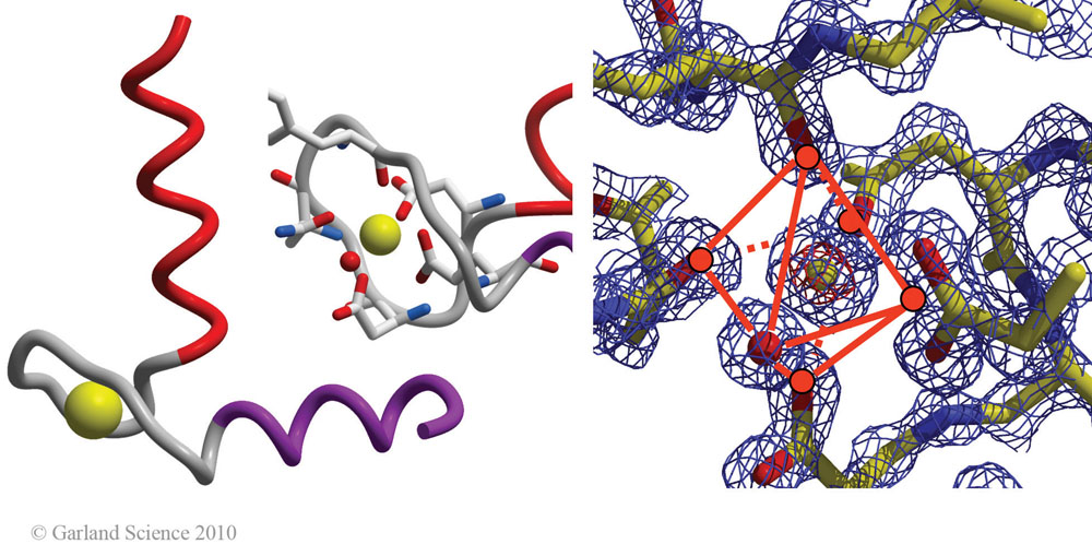 Biomolecular_Crystallography_Fig_2-36