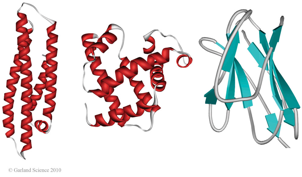 Biomolecular_Crystallography_Fig_2-37_A