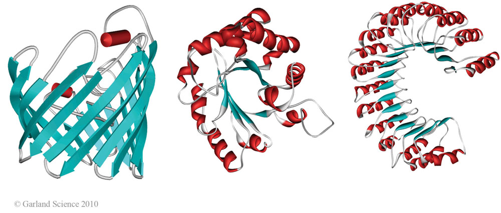Biomolecular_Crystallography_Fig_2-37_B