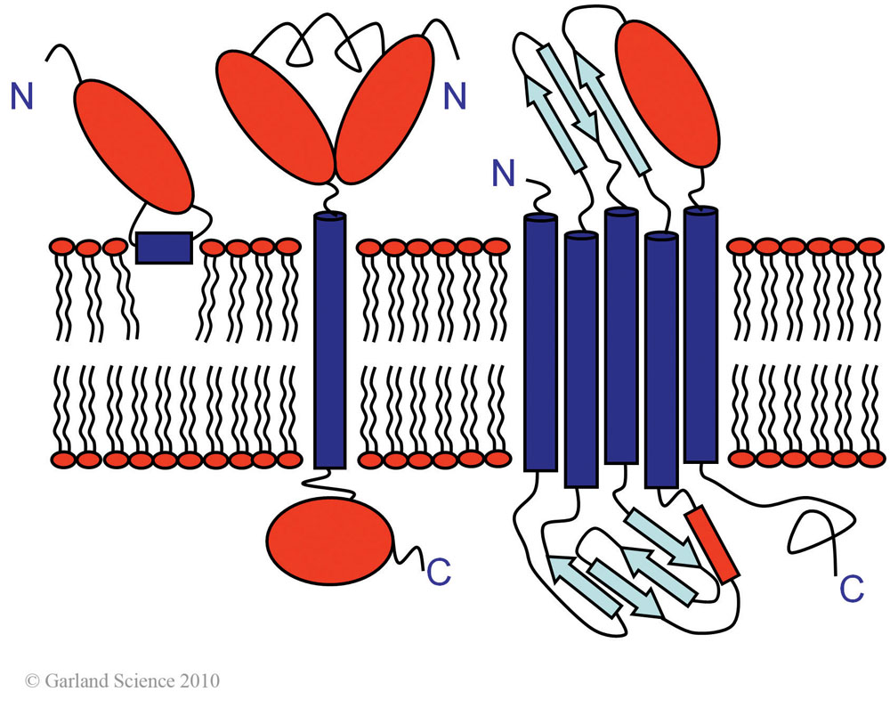 Biomolecular_Crystallography_Fig_2-39