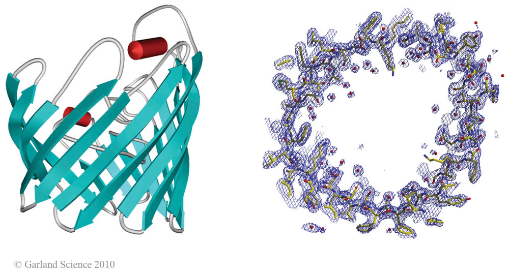 Biomolecular_Crystallography_Fig_2-40