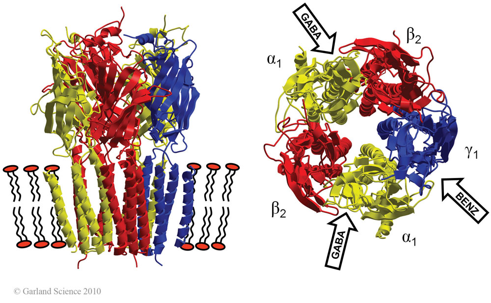 Biomolecular_Crystallography_Fig_2-41