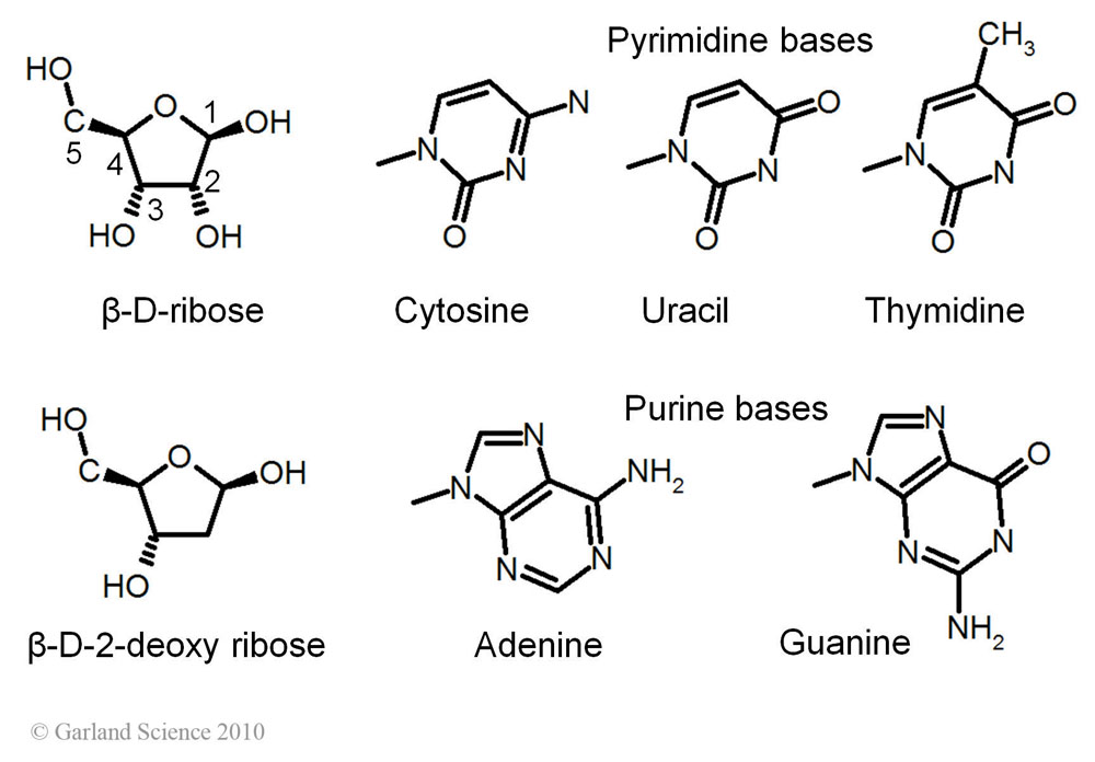 Biomolecular_Crystallography_Fig_2-43_A