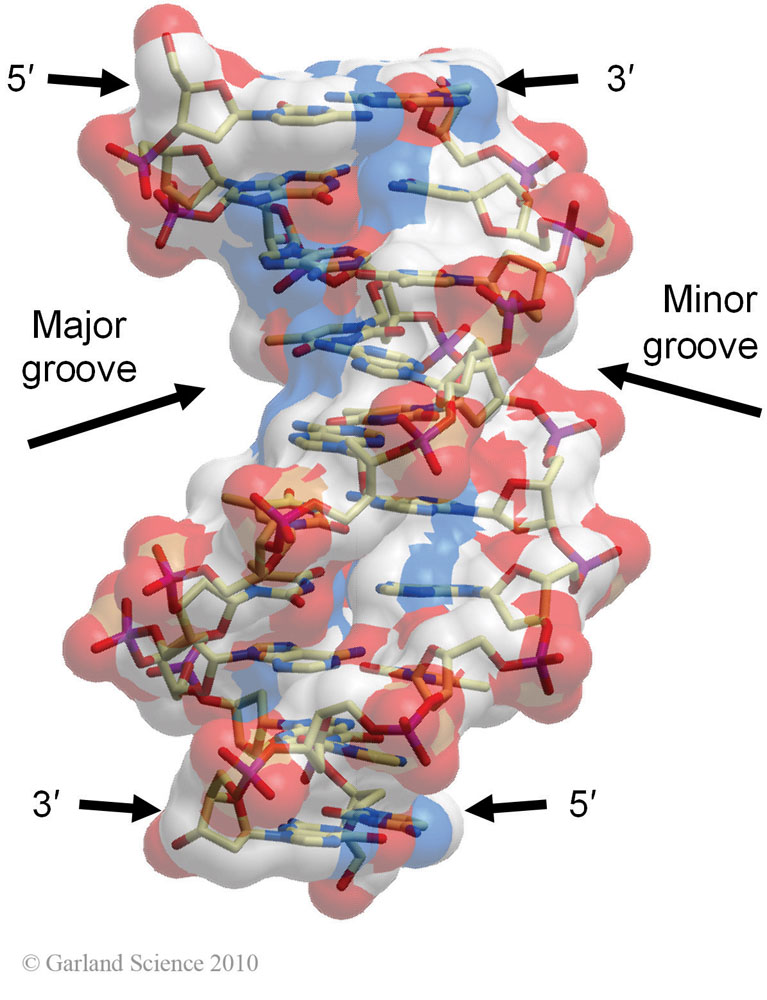 Biomolecular_Crystallography_Fig_2-44