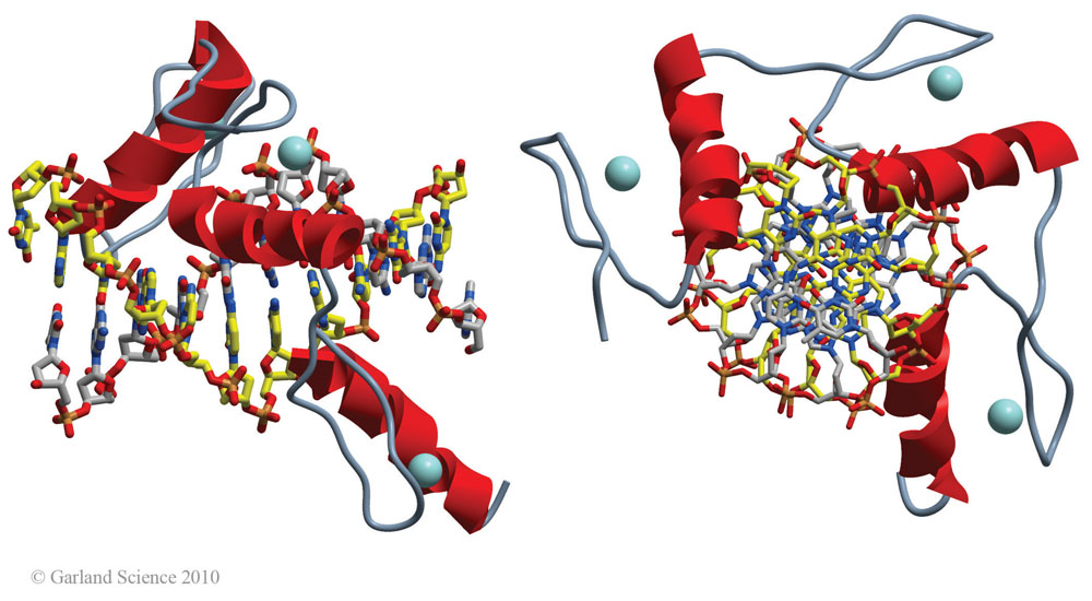 Biomolecular_Crystallography_Fig_2-46