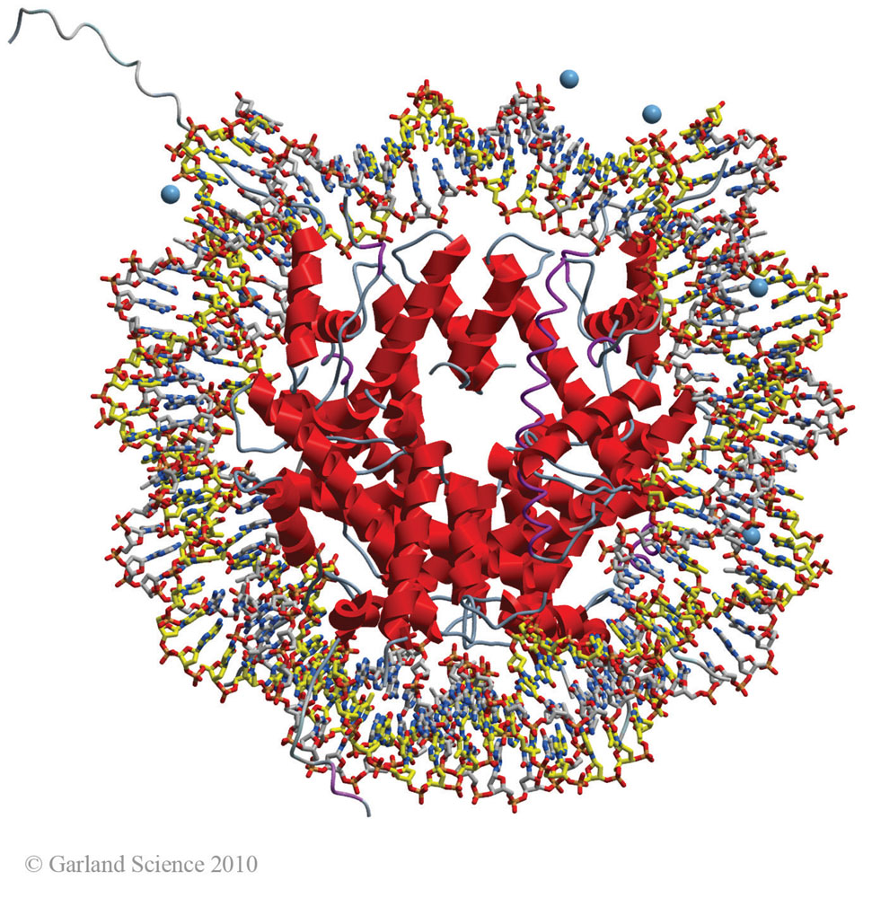 Biomolecular_Crystallography_Fig_2-49