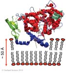 Biomolecular_Crystallography_Fig_2-38