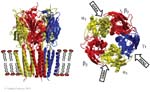 Biomolecular_Crystallography_Fig_2-41
