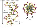 Biomolecular_Crystallography_Fig_2-42