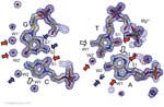 Biomolecular_Crystallography_Fig_2-45