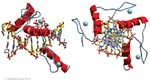 Biomolecular_Crystallography_Fig_2-46