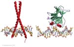 Biomolecular_Crystallography_Fig_2-47