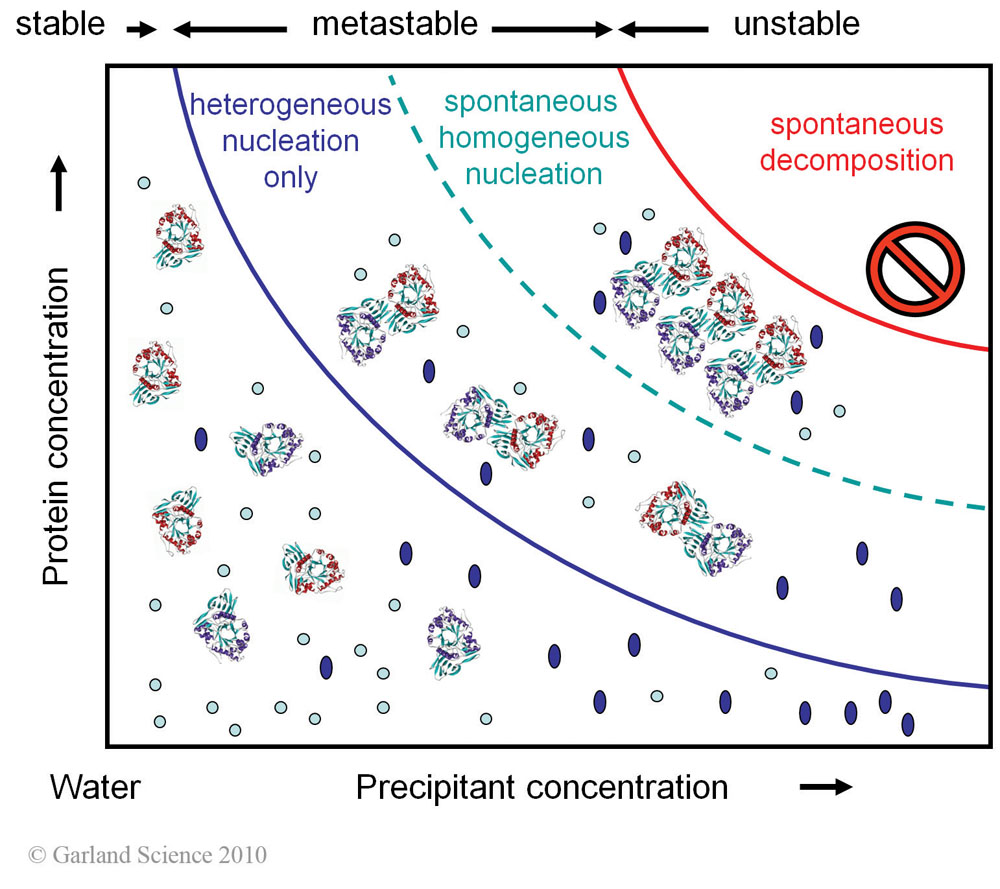 Biomolecular_Crystallography_Fig_3-10