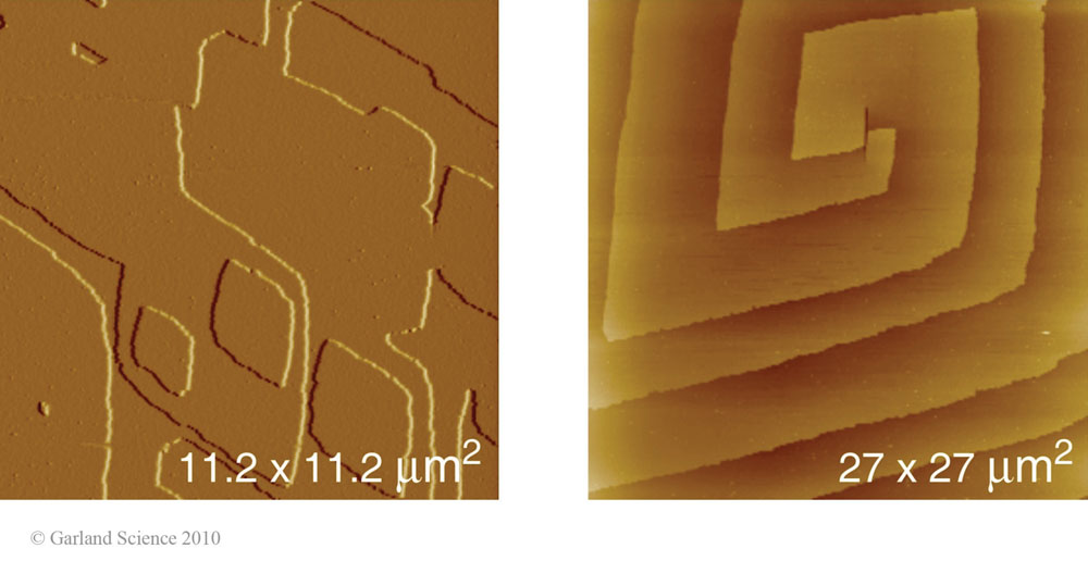 Biomolecular_Crystallography_Fig_3-11_A