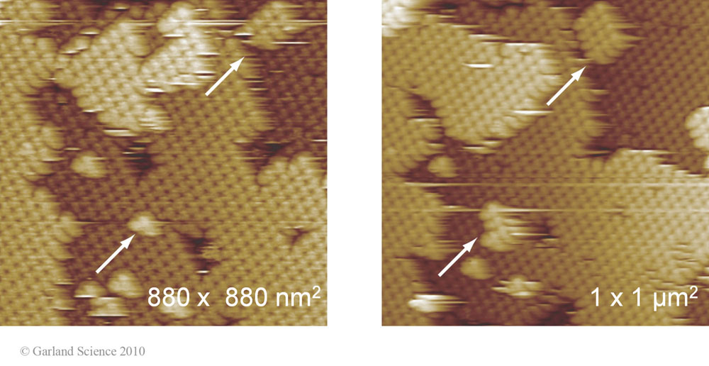 Biomolecular_Crystallography_Fig_3-11_B