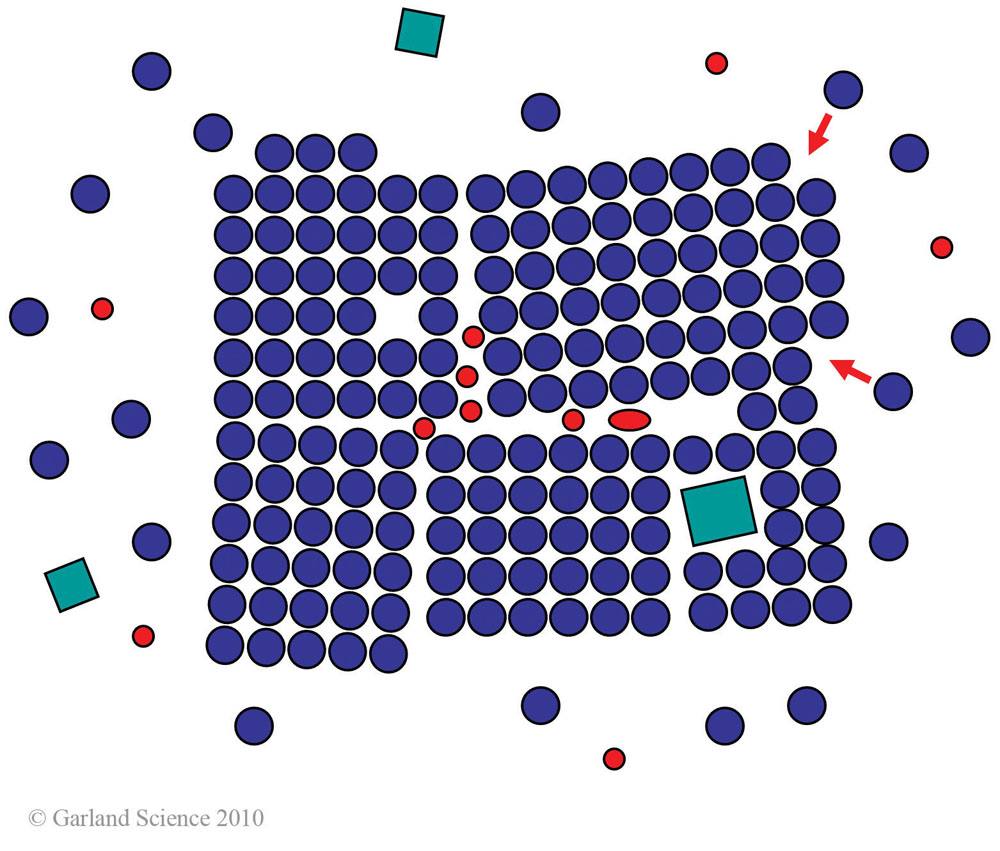 Biomolecular_Crystallography_Fig_3-12