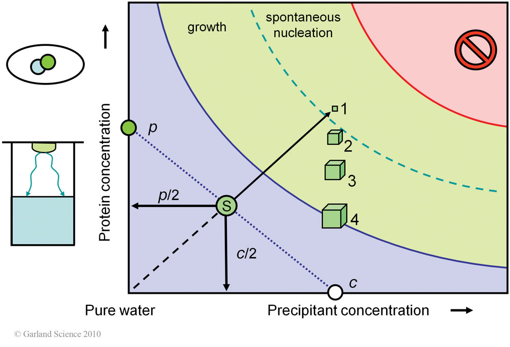 Biomolecular_Crystallography_Fig_3-20
