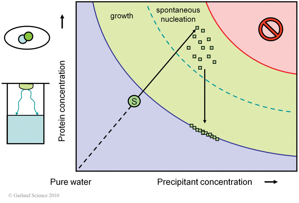 Biomolecular_Crystallography_Fig_3-21