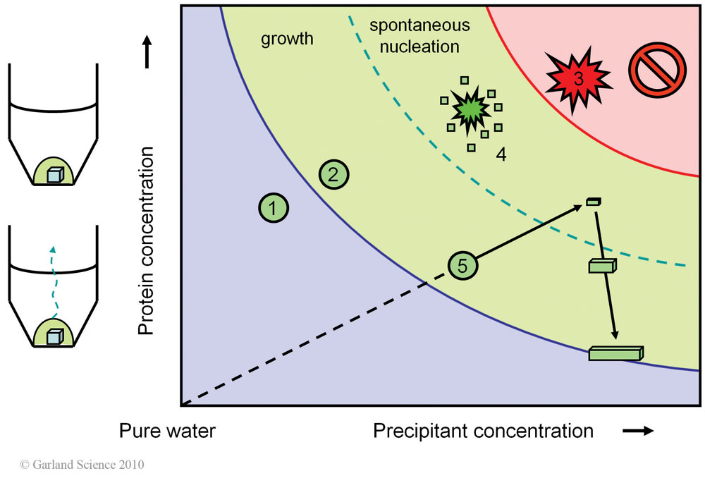 Biomolecular_Crystallography_Fig_3-23