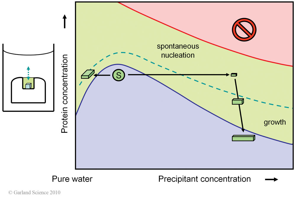 Biomolecular_Crystallography_Fig_3-24