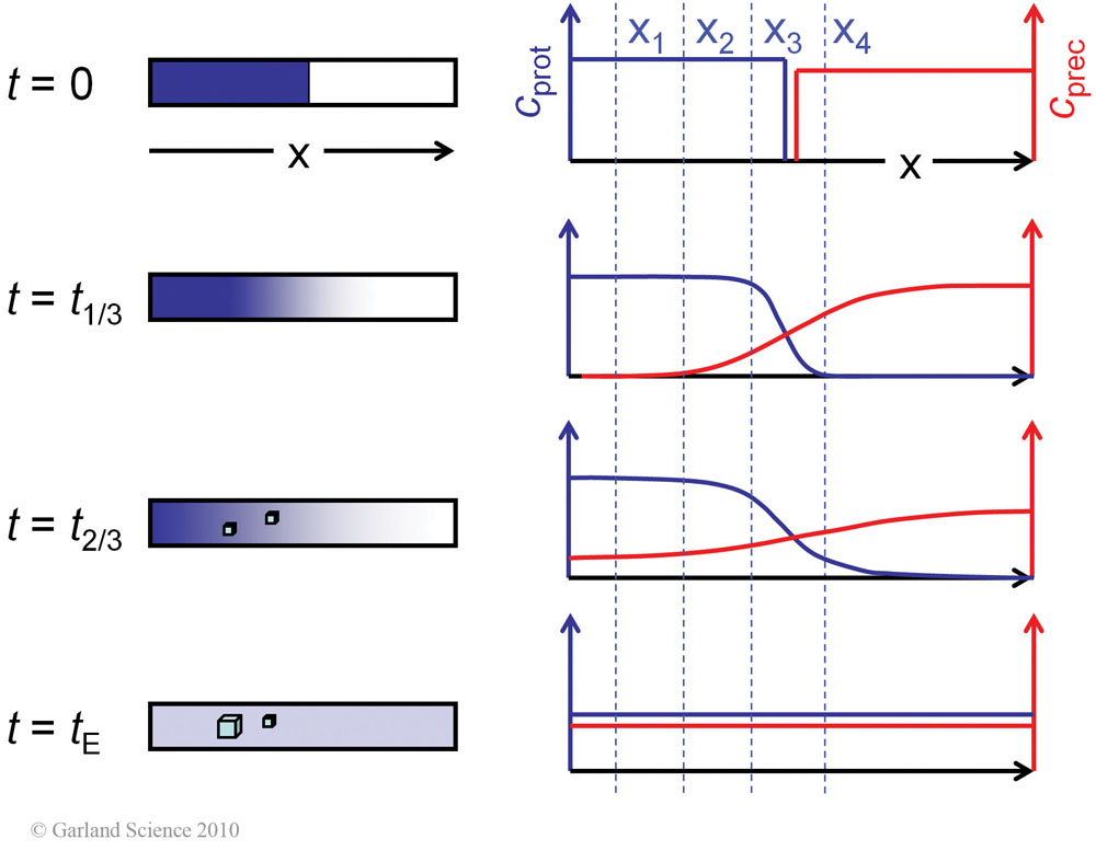 Biomolecular_Crystallography_Fig_3-25
