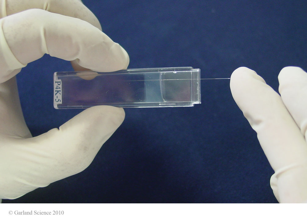 Biomolecular_Crystallography_Fig_3-27