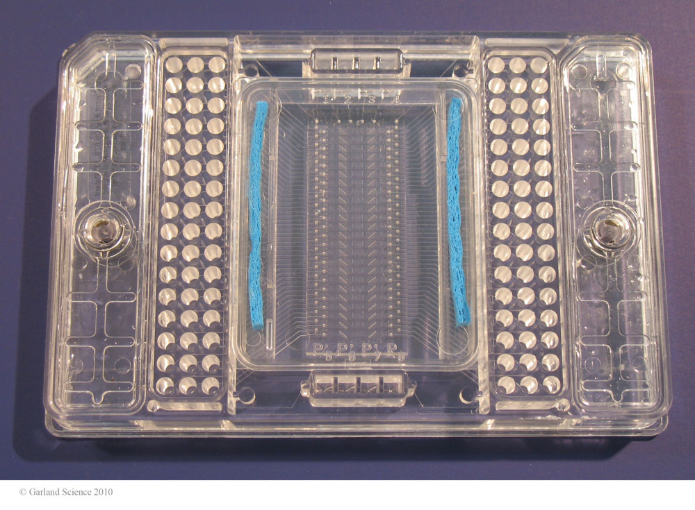 Biomolecular_Crystallography_Fig_3-29