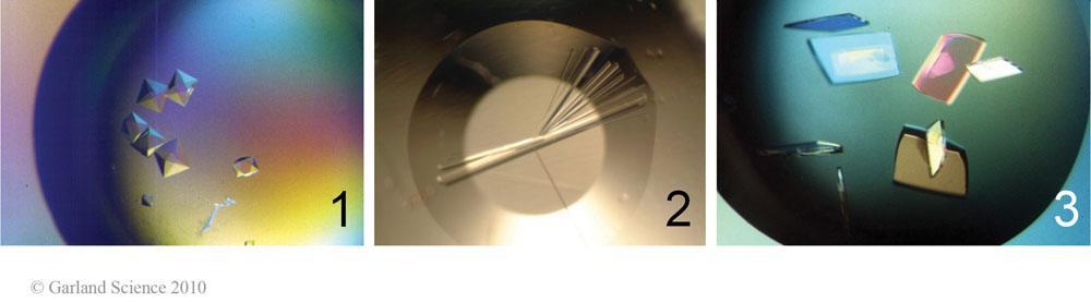 Biomolecular_Crystallography_Fig_3-37_Part1