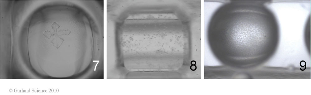 Biomolecular_Crystallography_Fig_3-37_Part3