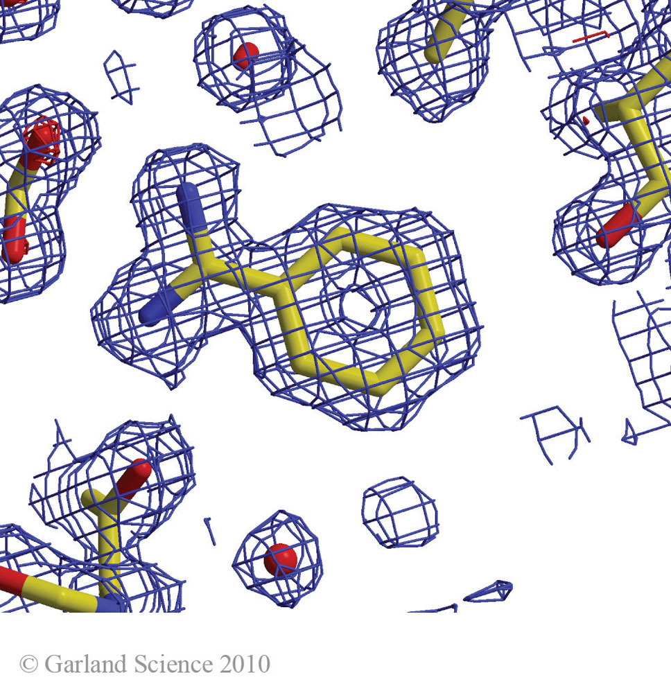 Biomolecular_Crystallography_Fig_3-41