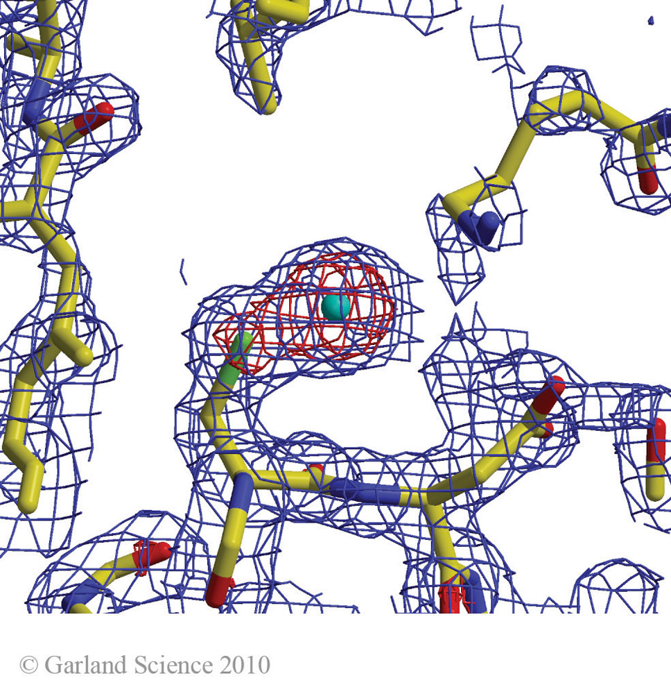 Biomolecular_Crystallography_Fig_3-42