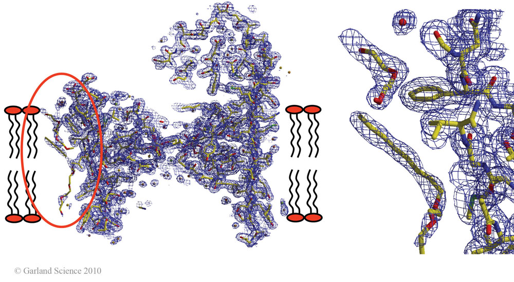 Biomolecular_Crystallography_Fig_3-44