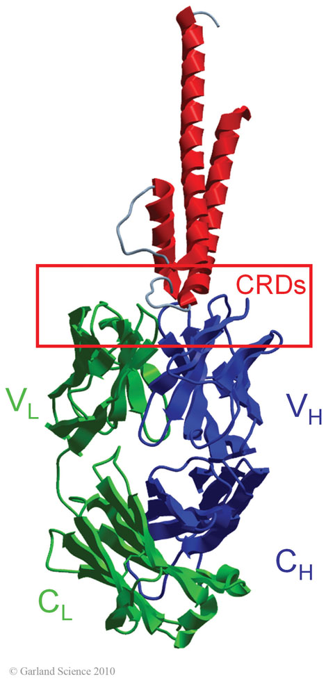 Biomolecular_Crystallography_Fig_3-46