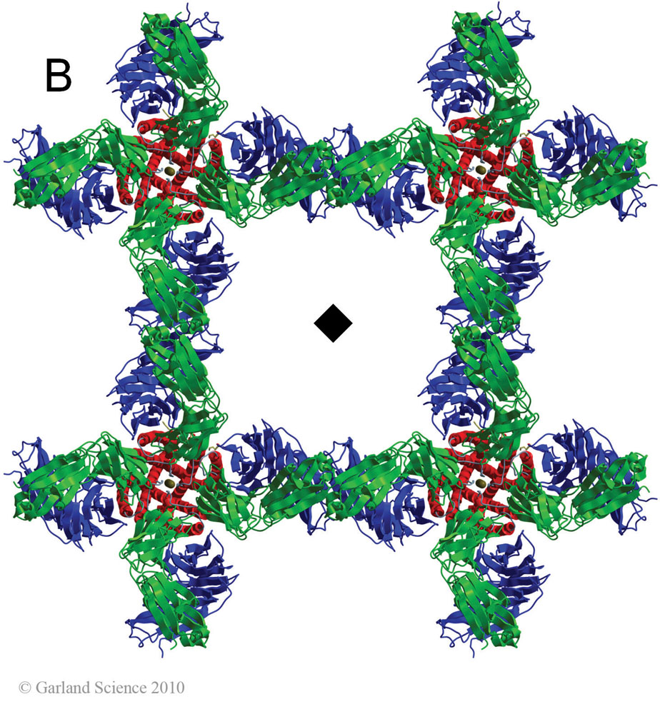 Biomolecular_Crystallography_Fig_3-47_B