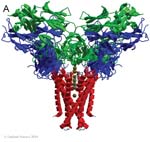 Biomolecular_Crystallography_Fig_3-47_A