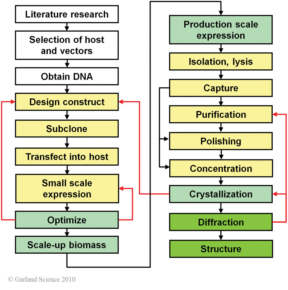 Biomolecular_Crystallography_Fig_4-01