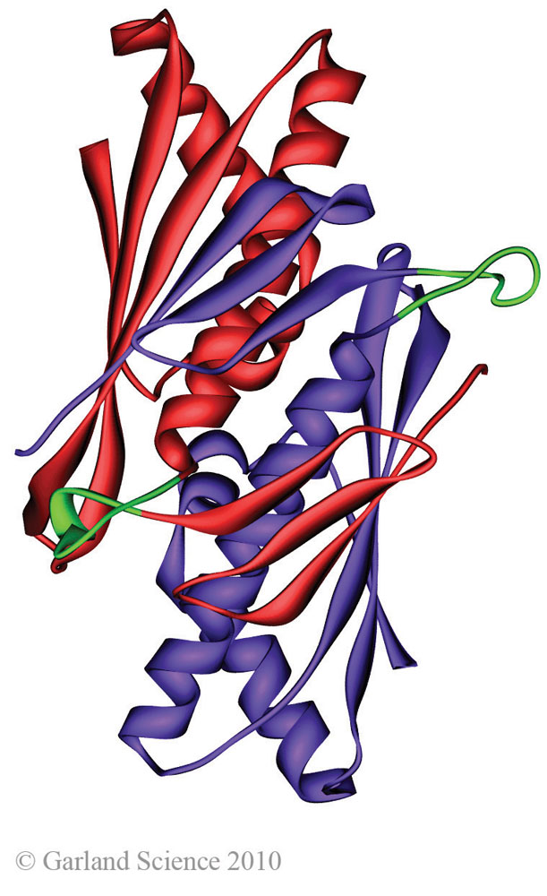 Biomolecular_Crystallography_Fig_4-04