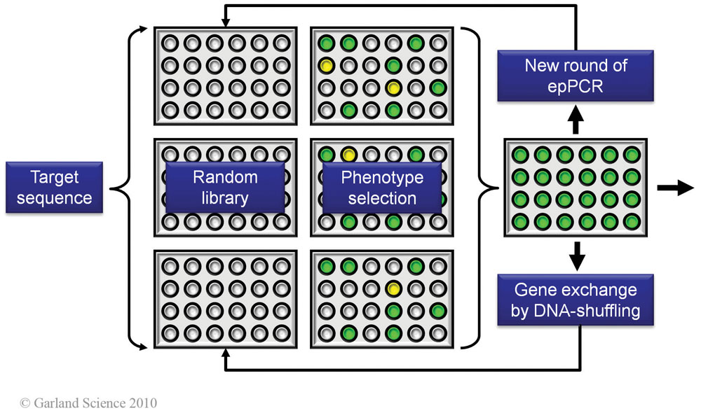 Biomolecular_Crystallography_Fig_4-10