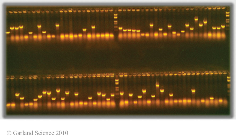 Biomolecular_Crystallography_Fig_4-11
